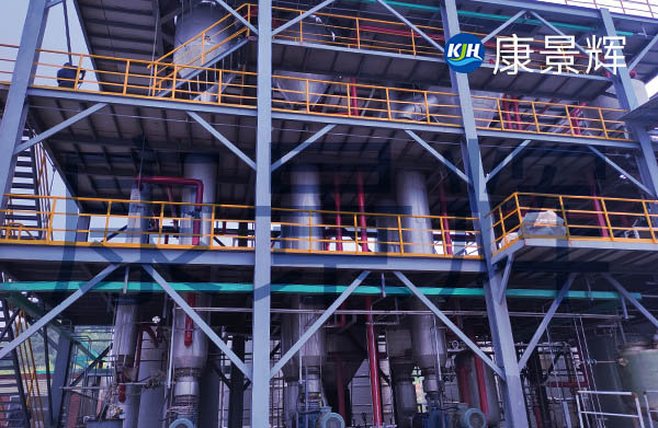 1t/h丙氨酸雙效蒸發濃縮系統 1t/h丙氨酸雙效蒸發濃縮系統