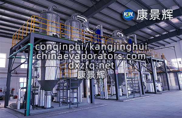 飛灰水洗脫鹽MVR蒸發(fā)結(jié)晶工藝